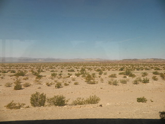 Arizona landscape