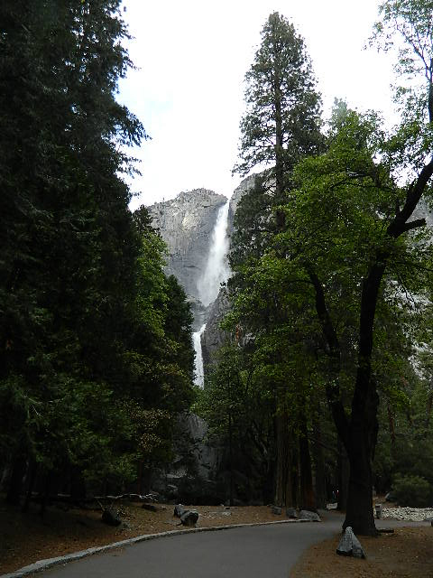 Yosemite falls