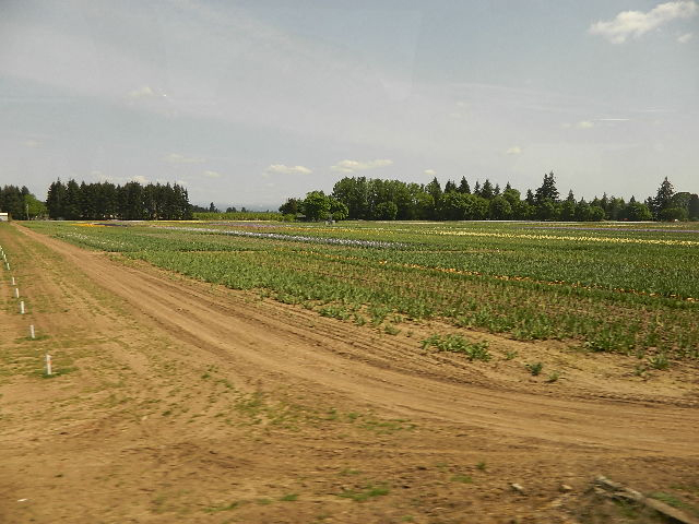 Oregon crops