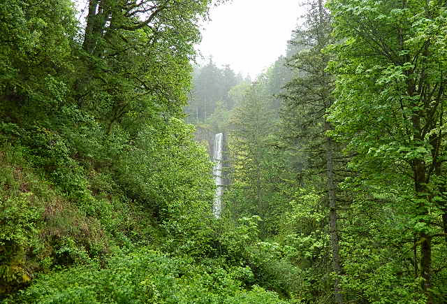 Latourell falls