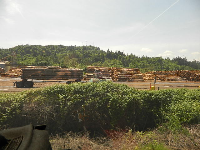 Logging in Oregon