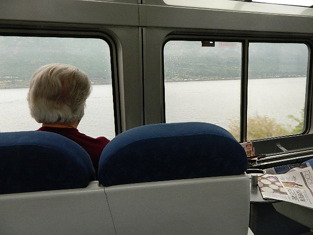 Observation car in an Oregon rain